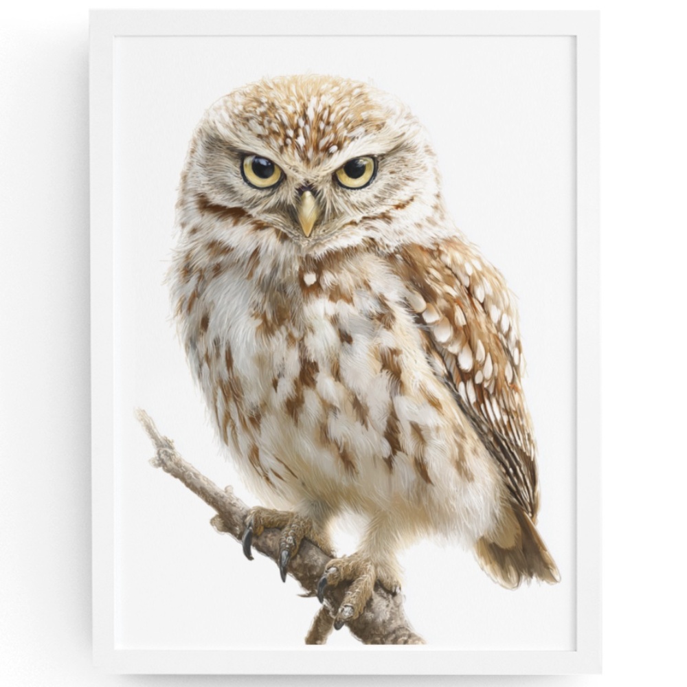 Watercolor Little Owl Portrait Wall Art Print Poster, Unframed - Adorable